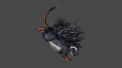 Pack d'attaque Cape Porcupine 3 4 en 1