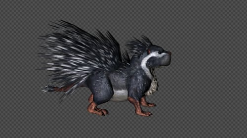 Pack de ralenti Cape Porcupine 8 en 1