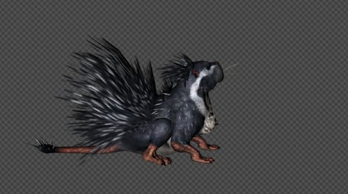 Pack de ralenti Cape Porcupine 02 4 en 1
