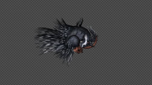 Cape Porcupine Attack Pack 02 4 en 1