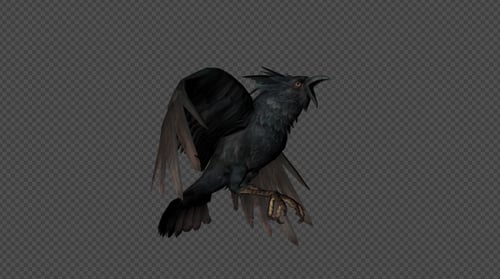 Crows Fly Attack Pack02 8 IN 1