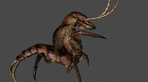 Detailed 3D Animated Insect Creature Walk Cycle
