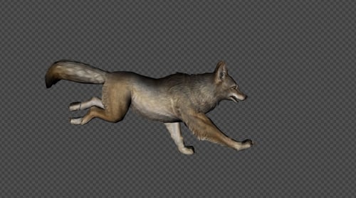 Coyote Run Pack 4 In 1