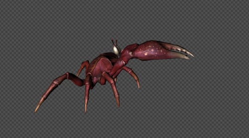 Animated 3D Monster Crab Creature Walk Cycle and Attack