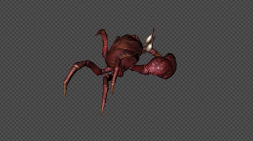 Crab Run Pack 4 In 1