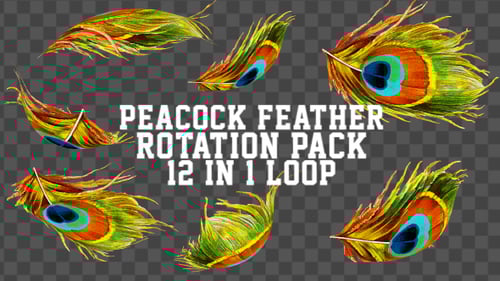 Animated Colorful Peacock Feathers Rotation Pack