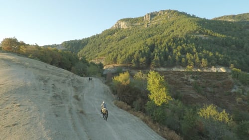 Horseback Riding on a Rural Mountain Trail