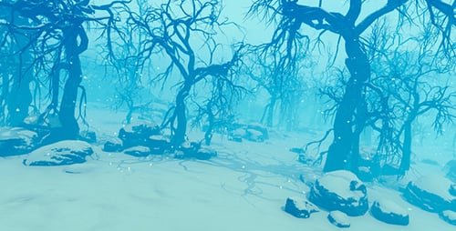 The Mysterious Forest Movement