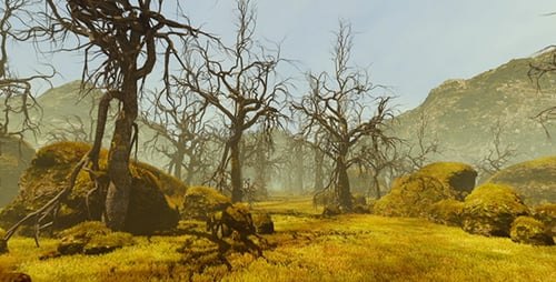 Movement By Fairy Tale Forest