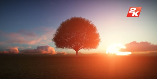 Vibrant Sunrise Sunset Time-lapse Over Grassy Field with Tree