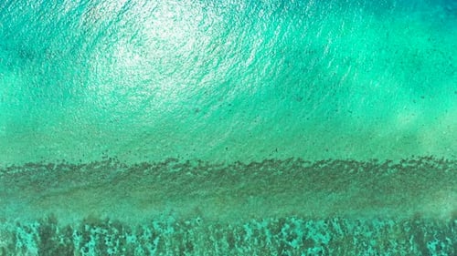 Aerial drone shot panorama of relaxing coast beach vacation by clear lagoon with white sand backgrou