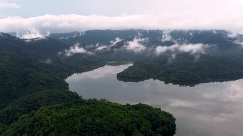 Aerial view curve shape of lake near rainforest