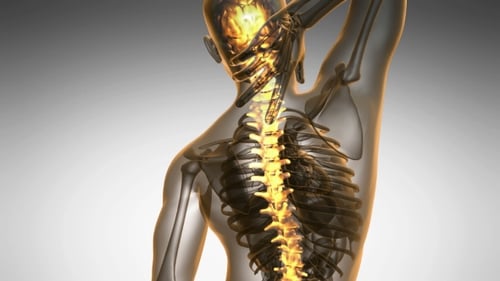 Animated Human Skeleton with Glowing Spine and Neck Pain