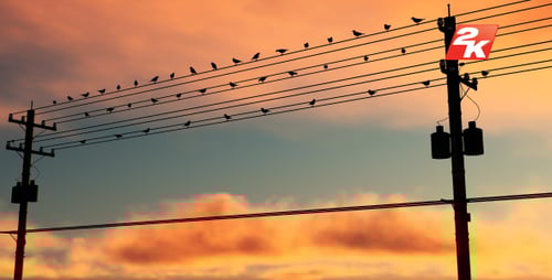 Silhouetted Birds on Power Lines at Sunset to Dusk