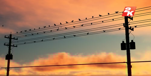 Silhouetted Birds on Power Lines at Sunset Animation