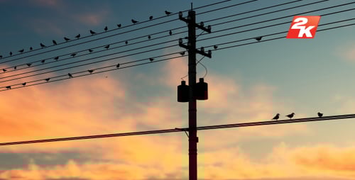 Beautiful Sunset Sky with Birds on Power Lines Animation