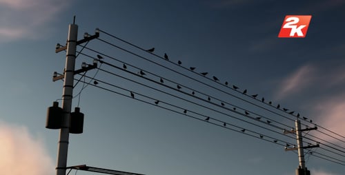 Birds Perching on Power Lines Against a Changing Sky