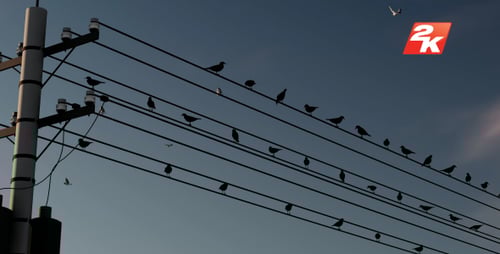 Birds on Power Lines Silhouette with Changing Sky and Time Lapse