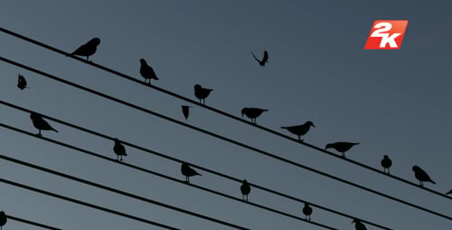 Animated Birds on Power Lines with Dynamic Sky Color Change
