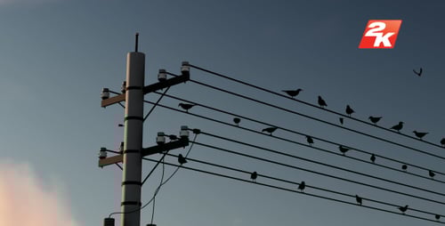 Animated Birds on Power Lines with Time-Lapse Sky