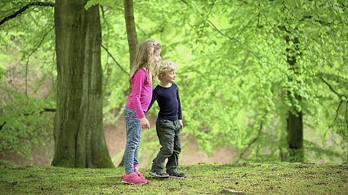 Childrens Walking On A Forest Path