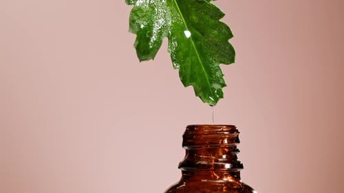 Perfumery