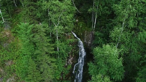 Waterfall in the forest