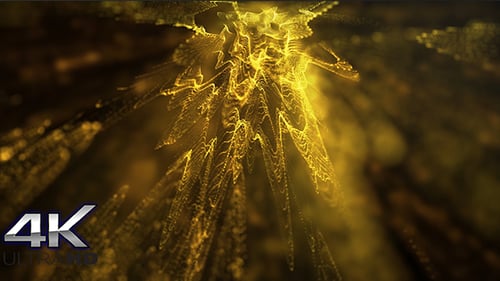 Abstract Golden Particle Wave Flowing Background Animation