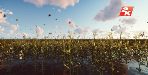 Swamp Plants