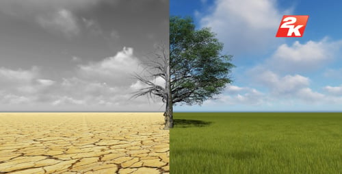 Dry and Green Tree