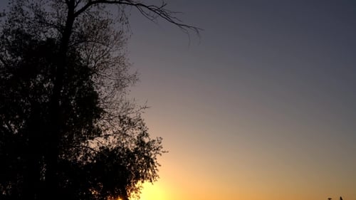 Wunderschöner Sonnenuntergang auf dem See