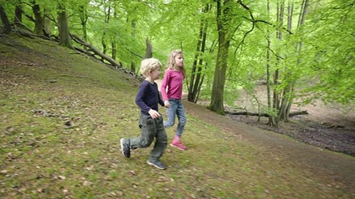 Dos niños caminando en el bosque