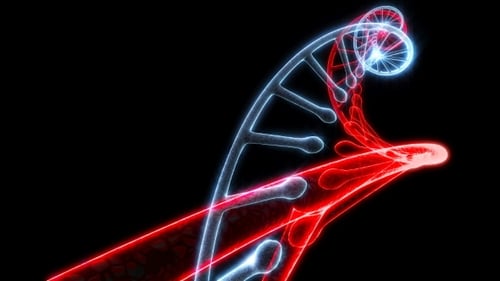 Model DNA Rotate on Black Able To Loop Seamless