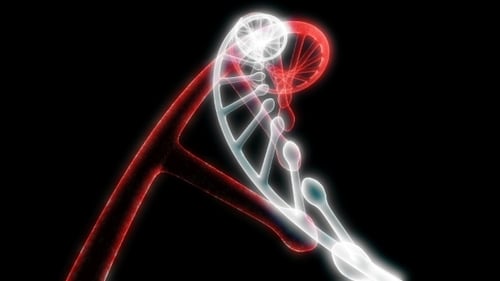 Model DNA Rotate on Black Able To Loop Seamless