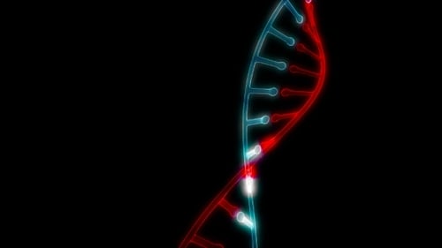 Model DNA Rotate on Black Able To Loop Seamless