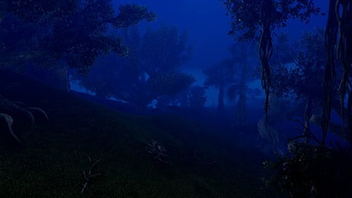 Forêt magique de nuit 4K