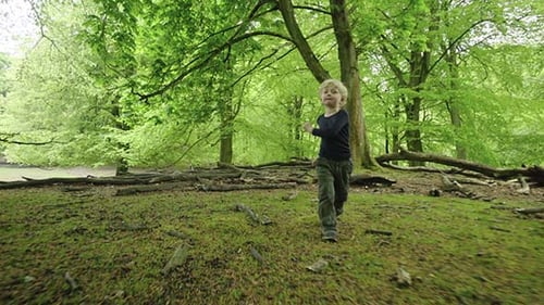 Boy Walks Through Lush Green Forest