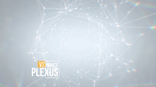 Abstract White Plexus Network Technology Background Animation