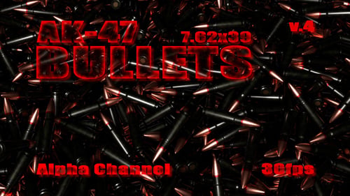 AK- 47 Geschosse 4