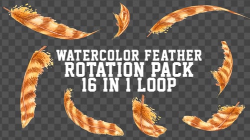 Animated Watercolor Feathers Rotating Loop Pack