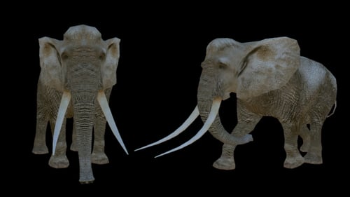 Realistic Elephants - 2 Scene