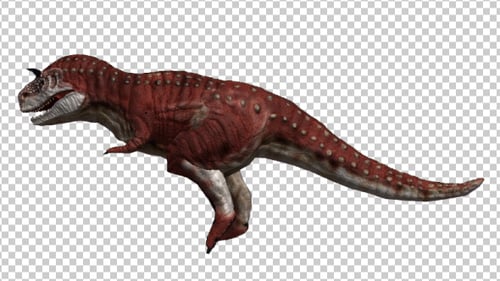 Dinosaur - Carnotaurus Walking