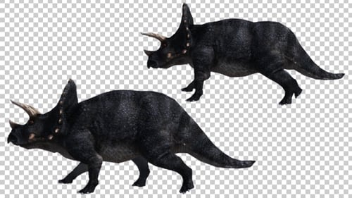 Dinosaur - Triceratops Gehen und Laufen