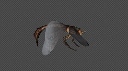 Realistic 3D Dragonfly Flying with Alpha Channel Animation