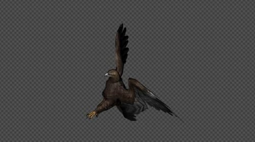 Eagle Attack Pack01 4-in-1