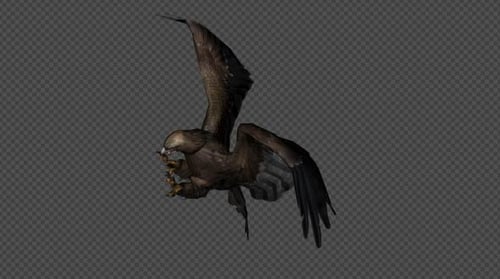 Eagle Fly Idle Pack 02 4-in-1