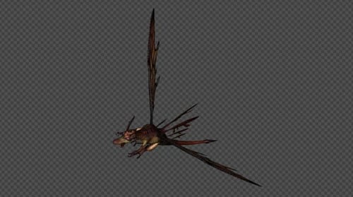FairyDragon Fly Attack Pack 05 4 en 1