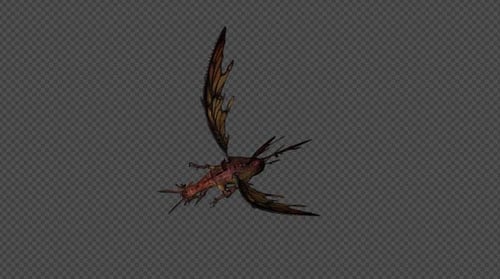 FairyDragon Fly Attack Pack 01 4 en 1