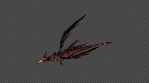 FairyDragon Fly Run Pack 4 in 1