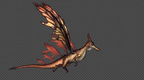 FairyDragon Fly Walk Pack 4 en 1